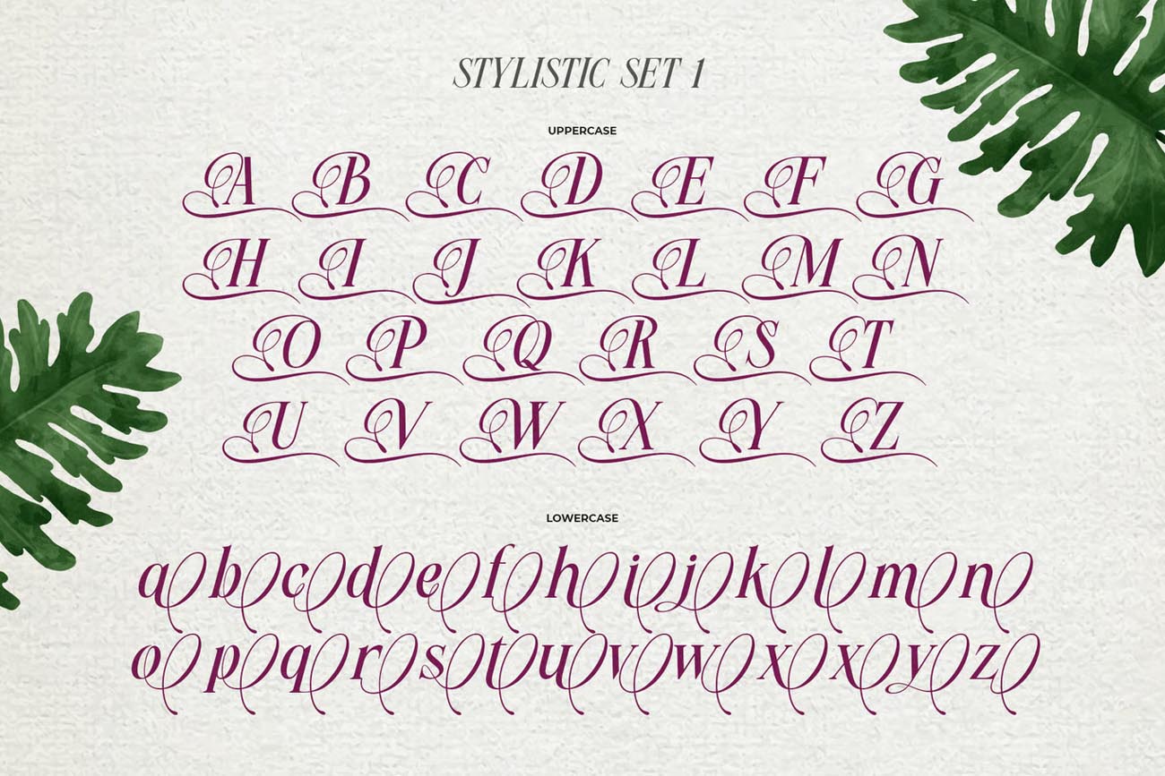 Font chữ trang trí uốn lượn TH Meillona Việt hóa